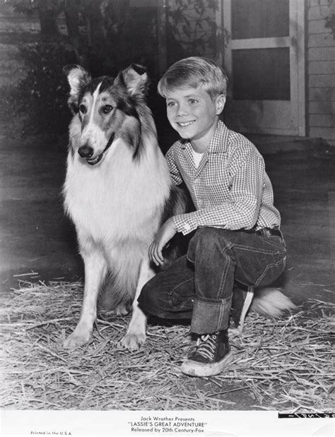 The Magic of Lassie's Loyalty: Lessons on Devotion and Trust